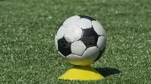 LISA确认新冠病毒感染